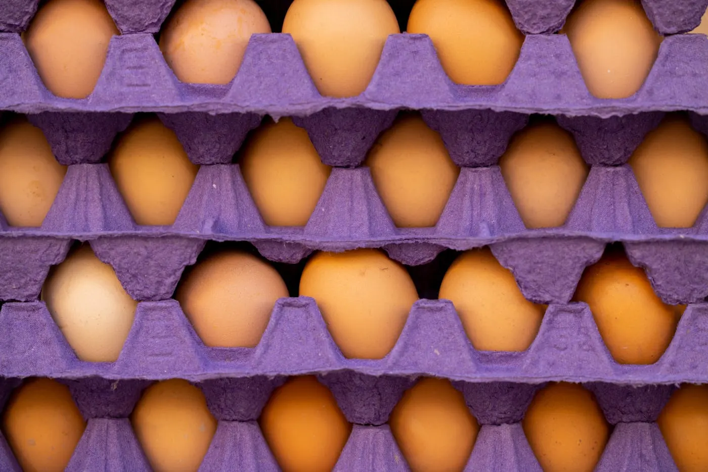 Wholesale egg trays prepared for market distribution in India