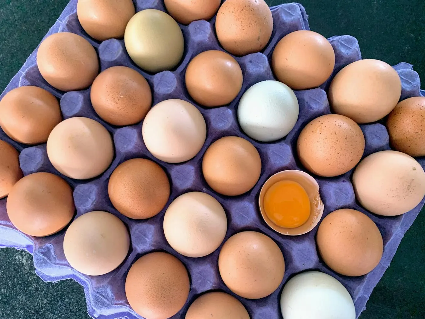 Thane egg market trays supporting daily egg rate analysis